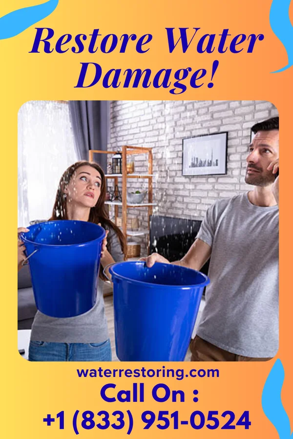 water restoration Frontier Water Repair Experts Altona